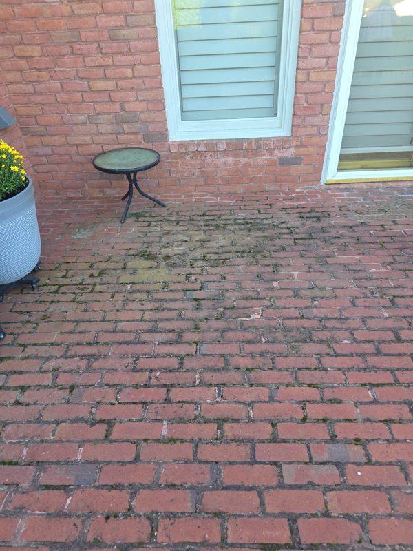 Red brick patio pavers on Thornberry Drive in Alpharetta, covered in green moss and dark mildew before cleaning