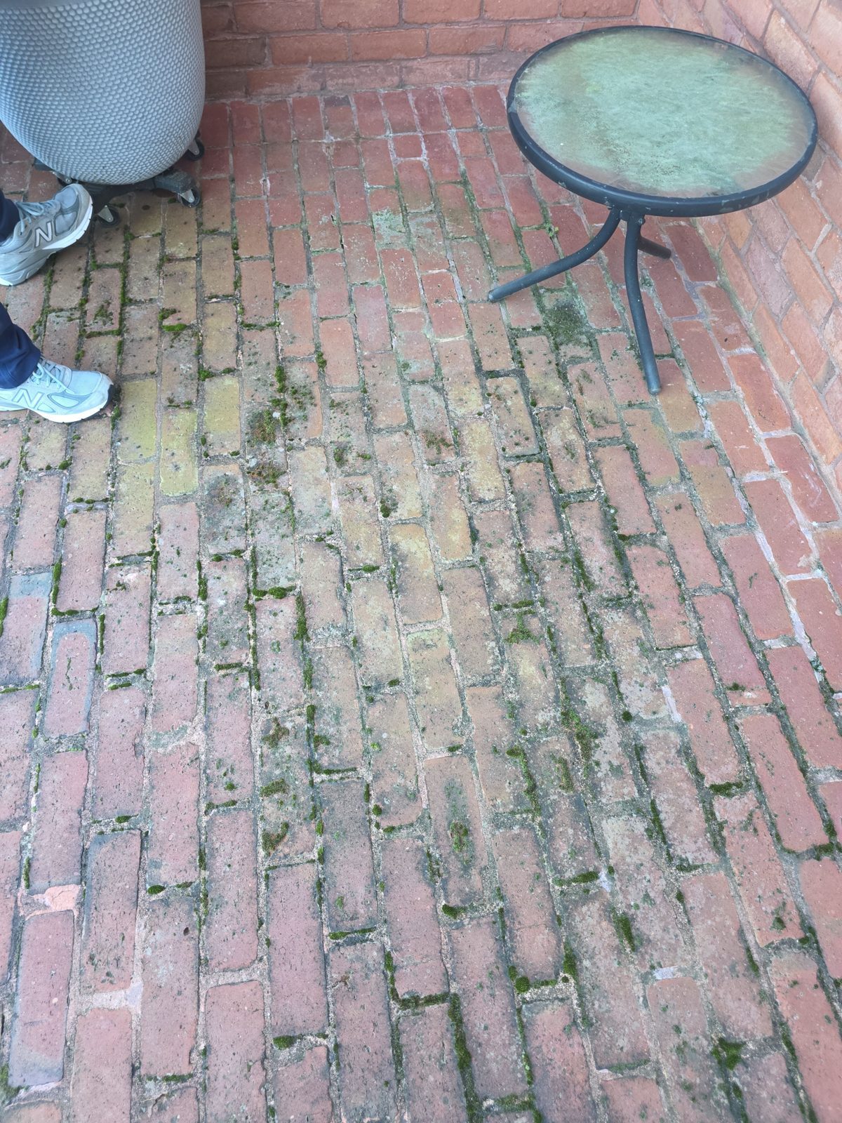 Close view of red brick pavers in Thornberry before cleaning, with green moss packed into the joints and a gray film across the brick