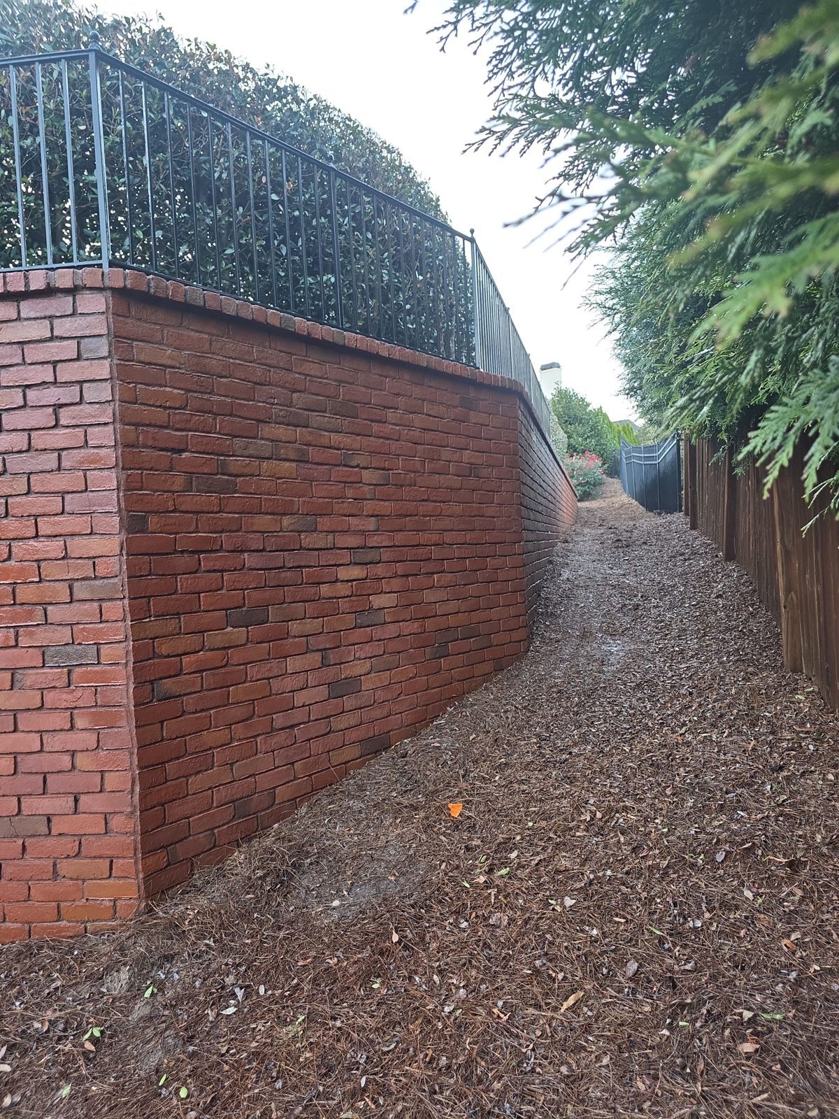 Tall brick retaining wall in Thornberry during cleaning, with a surface cleaner on the brick, lighter lower courses, and the top of the wall still dark with growth
